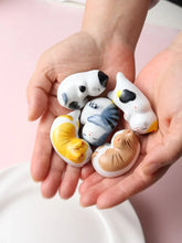 Load image into Gallery viewer, Sleeping Lucky Cat Chopsticks Holder | Cute Japanese Ceramic Rests - 5 Pc Set