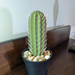 Large Cactus Toothpick Holder & Dispenser | Plant Nature Decor - 1 Pc